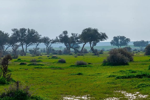 4373_BLD_17-12-2025_p02-7_Medium