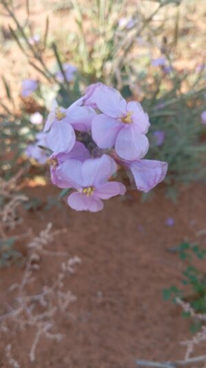 c829f288-b115-46b8-81a2-a65025a07eb0