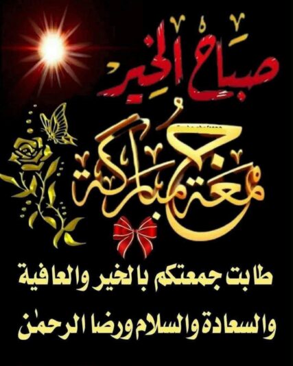 07562e22-a9bf-495d-9316-657b77fda21e