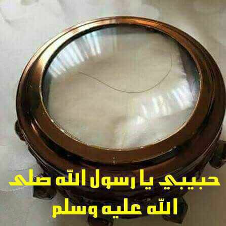 616361217_122293658732066926_4400264596424800553_n