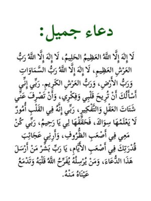 560658209_1163257482609460_4059029945053070613_n