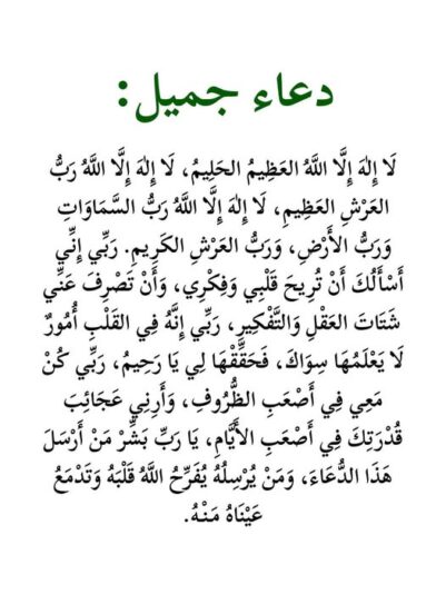 560658209_1163257482609460_4059029945053070613_n