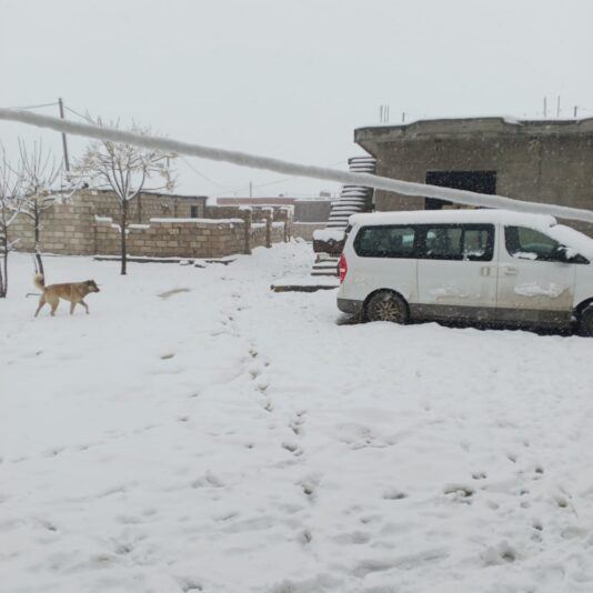 e2971cf9-c694-4b4a-97b5-179235488733