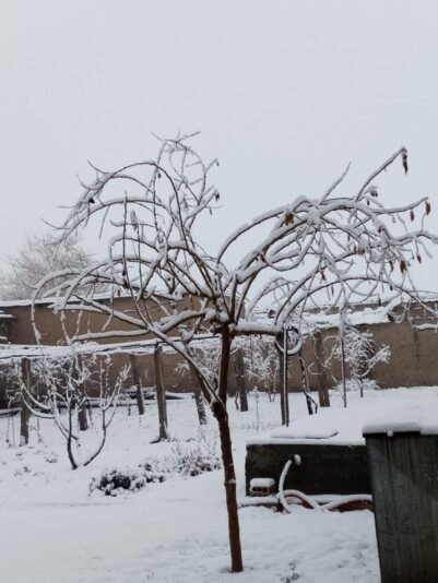 6b82008d-b343-4724-abb1-323e94c1abc2