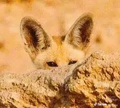 659033DC-5613-42B0-A99E-3A81BE58CF2F