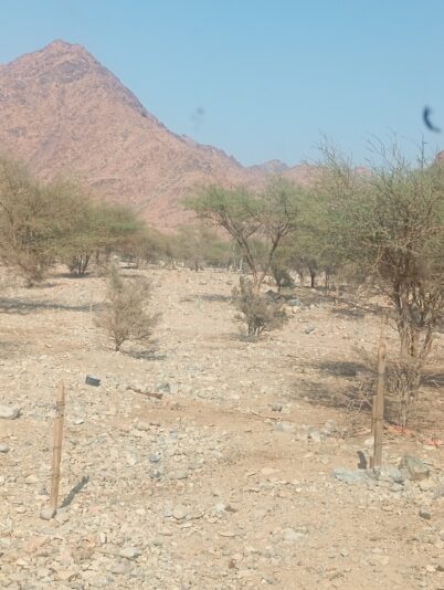 1428215a-c2fa-458d-b20e-41313c5668c1