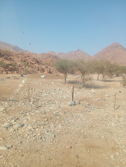 4d47a38a-a07c-418a-81b5-89d485640a98