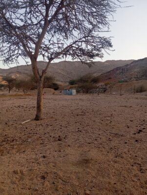 11d1f61b-8cd9-4659-b0df-345ca7445b6d