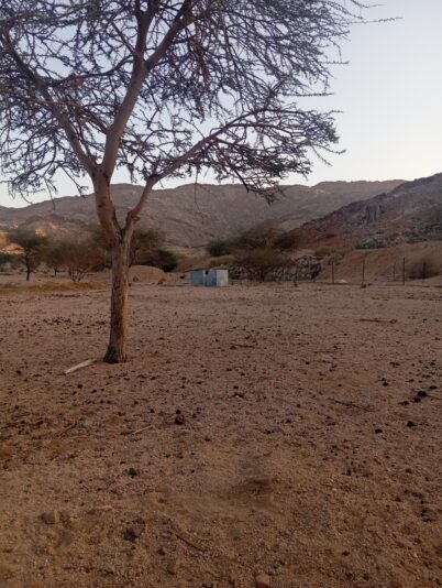 11d1f61b-8cd9-4659-b0df-345ca7445b6d