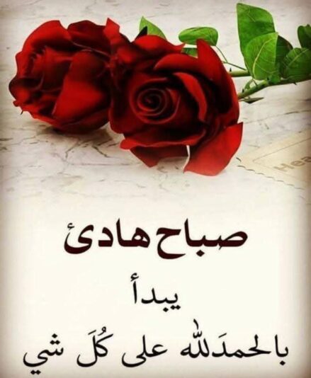 42925e87-d472-47df-b75e-d85e7bbcda0a