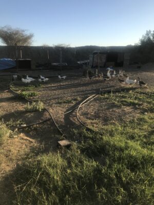 78888264791__CAC2495D-296B-45C4-BA75-B3EDCF155696