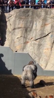 AQMRF_OJJrp6A8Q6ucFeoclToz3HLKKXyOSKC-yiaQkC1W5cM-NFxMoQTgrxCvKGlkUVMv_Br5D4cx42OOTL-cEi4iZ86K74pujYe1oq5PflNA