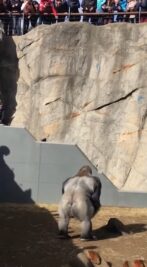 AQMRF_OJJrp6A8Q6ucFeoclToz3HLKKXyOSKC-yiaQkC1W5cM-NFxMoQTgrxCvKGlkUVMv_Br5D4cx42OOTL-cEi4iZ86K74pujYe1oq5PflNA