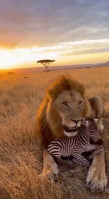 AQOa1T3f1rk7U6ea77T635kE-AuCmztwDAzdn3TBVr2ZBDa4v5CrOiYM_Cl9Fpz0H_Zw-hrTmWGRRDYfmOEZ-BZwjcjexSRwZYHnPzYZ_TTWuA