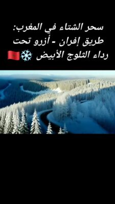 ​سحر الشتاء في المغرب طريق إفران - أزرو تحت رداء الثلوج الأبيض ❄️🇲🇦