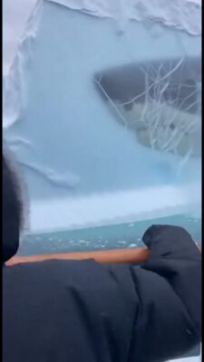 2.3M views · 50K reactions The Megalodon Is Still Alive #deepsea #unexpected Amir Visuals