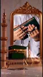 WhatsApp Video 2026-01-30 at 4.31.02 AM