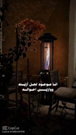 WhatsApp Video 2026-01-30 at 4.30.51 AM