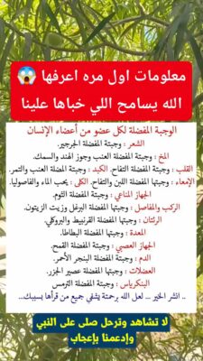 AQPmjAehKlrvG0Hg4cO_ECbmlUbBXw62ZK-nwxN5xN6KE-AtstQ7S7FshxdDu2swMA6KB4zCOUrjERJFFcYodOmaSRIowc7CyjQcSY629KIxgw