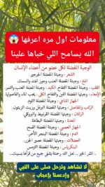 AQPmjAehKlrvG0Hg4cO_ECbmlUbBXw62ZK-nwxN5xN6KE-AtstQ7S7FshxdDu2swMA6KB4zCOUrjERJFFcYodOmaSRIowc7CyjQcSY629KIxgw