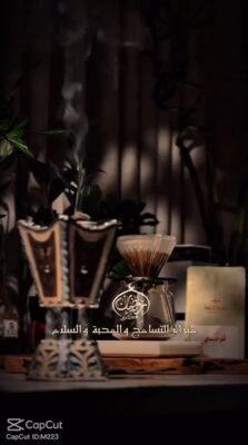 WhatsApp Video 2026-02-16 at 8.44.51 PM.mp41