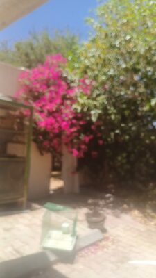 video-4fbd1e68-749d-4f5e-98c6-353288af44546183199946240882618