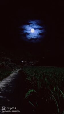 lvtemp_f2d05af8-1de1-4a21-b99f-7ba83642e354٣