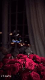 trim.87235453-A65C-418F-92A5-D7672582C2C3