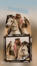 فيديو واتساب بتاريخ 1446-12-01 في 19.42.53_6883bbfd