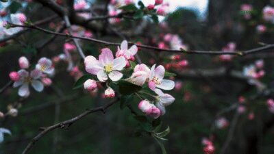 13414792_3840_2160_25fps