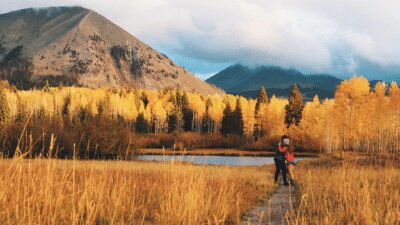 14542689_3840_2160_60fps