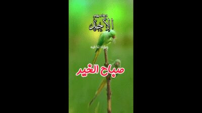 مقطع فيديو بدون عنوان - تم تصميمه باستخدام Clipchamp (1)