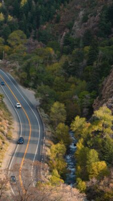 14497410_2160_3840_60fps