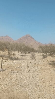 video-6380ff08-f770-4f70-805f-4e2e60a0c02c4276034705074506184