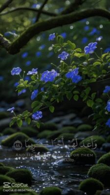 فيديو واتساب بتاريخ 1447-05-20 في 07.14.37_1cb7c5fd