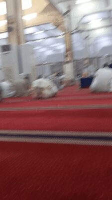 video-a8083543-3a7e-4015-984f-4234a5f9aa077442624045544639841