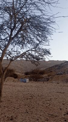 video-dc8370f7-75d5-428c-9075-1078af46f18c5844479134042030101