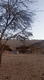 video-dc8370f7-75d5-428c-9075-1078af46f18c5844479134042030101