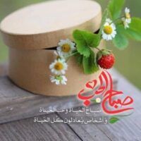 Profile photo of Qais-ibn-Ikram