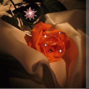 Profile photo of ساري الليل