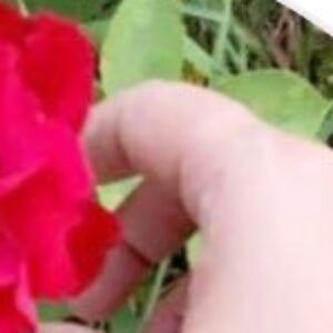 Profile photo of NUDA-N